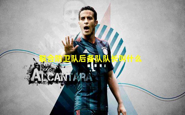 联合防卫队后备队队长叫什么