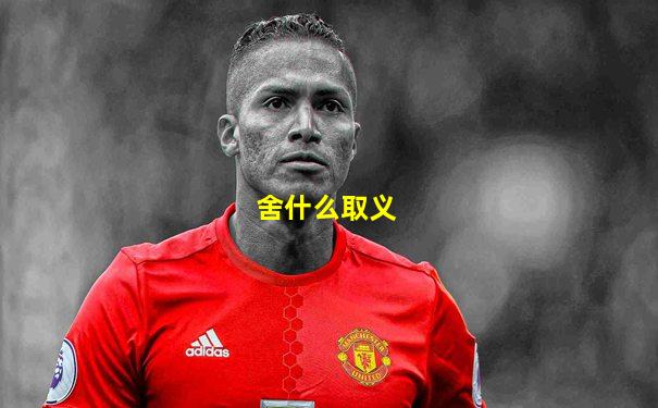 舍什么取义