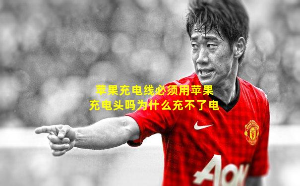 苹果充电线必须用苹果充电头吗为什么充不了电