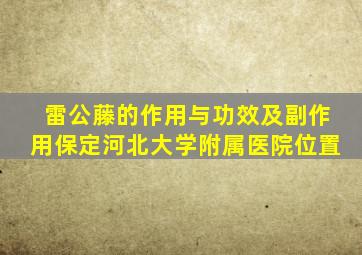 雷公藤的作用与功效及副作用保定河北大学附属医院位置